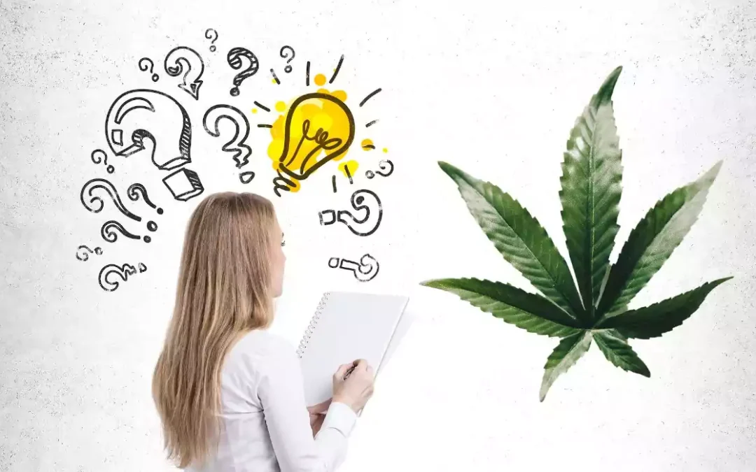 Medyczna marihuana – fakty i mity